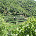 img 1984 16710787128 o