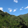 img 1988 16710786828 o