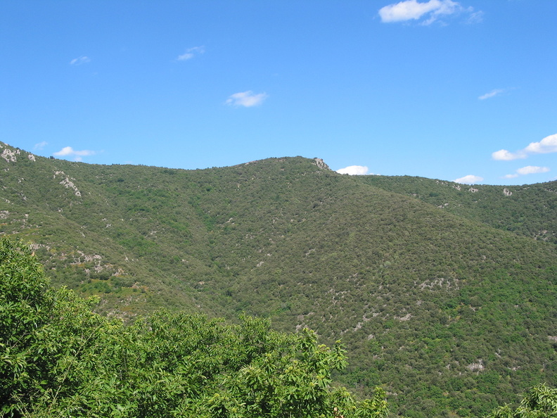 img_1989_16897202142_o.jpg