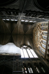 img 4818 16286654743 o