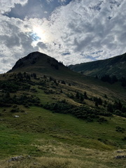 IMG 2510
